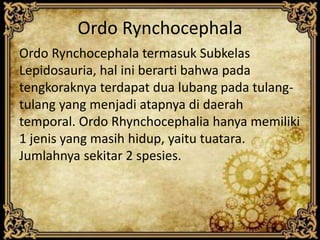Ordo Rynchocephala
Ordo Rynchocephala termasuk Subkelas
Lepidosauria, hal ini berarti bahwa pada
tengkoraknya terdapat dua lubang pada tulang-
tulang yang menjadi atapnya di daerah
temporal. Ordo Rhynchocephalia hanya memiliki
1 jenis yang masih hidup, yaitu tuatara.
Jumlahnya sekitar 2 spesies.
 