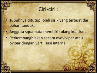 Ciri-ciri :
• Tubuhnya ditutupi oleh sisik yang terbuat dari
bahan tanduk.
• Anggota squamata memiliki tulang kuadrat.
• Perkembangbiakan secara ovovivipar atau
ovipar dengan vertilisasi internal.
 