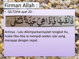 • QS.TOHA ayat 20 :
Artinya : Lalu dilemparkannyalah tongkat itu,
maka tiba-tiba ia menjadi seekor ular yang
merayap dengan cepat.
Firman Allah :
 