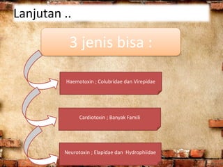 Lanjutan ..
3 jenis bisa :
Haemotoxin ; Colubridae dan Virepidae
Cardiotoxin ; Banyak Famili
Neurotoxin ; Elapidae dan Hydrophiidae
 