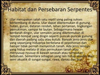 Habitat dan Persebaran Serpentes
• Ular merupakan salah satu reptil yang paling sukses
berkembang di dunia. Ular dapat diketemukan di gunung,
hutan, gurun, dataran rendah, lahan pertanian, lingkungan
pemukiman, sampai ke lautan. Sebagaimana hewan
berdarah dingin, ular semakin jarang diketemukan di
tempat-tempat yang dingin seperti puncak-puncak gunung
dan daerah padang salju atau kutub. Banyak jenis-jenis ular
yang sepanjang hidupnya berkelana di pepohonan dan
hampir tidak pernah menyentuh tanah. Ada jenis lainnya
yang hidup melata di atas permukaan tanah atau
menyusup-nyusup di bawah serasah atau tumpukan
bebatuan. Sementara sebagian yang lain hidup akuatik atau
semi akuatik di sungai-sungai, rawa, danau dan laut.
 