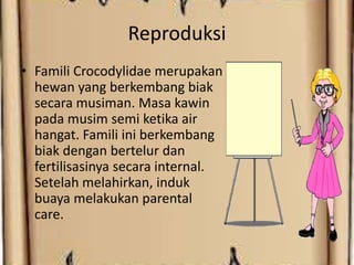 Reproduksi
• Famili Crocodylidae merupakan
hewan yang berkembang biak
secara musiman. Masa kawin
pada musim semi ketika air
hangat. Famili ini berkembang
biak dengan bertelur dan
fertilisasinya secara internal.
Setelah melahirkan, induk
buaya melakukan parental
care.
 