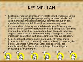 KESIMPULAN
• Reptilia merupakan kelompok vertebrata yang beradaptasi untuk
hidup di darat yang lingkungannya kering. Adanya sisik dan kulit
yang menanduk mencegah hilangnya kelembaban tubuh dan
membantu hewan untuk hidup di permukaan yang kasar.
• Ciri umum kelas ini yang membedakan dengan Kelas yang lain
adalah seluruh tubuhnya tertutup oleh kulit kering atau sisik. Kulit
ini menutupi seluruh permukaan tubuhnya dan pada beberapa
anggota ordo atau sub-ordo tertentu dapat mengelupas atau
melakukan pergantian kulit baik secara total maupun sebagain.
• Kelas Reptilia dibagai menjadi 4 ordo, yaitu Rhyncocephalia
(contohnya: Tuatara), Chelonia (contohnya: Penyu, Kura-kura, dan
Bulus), Squamata (Contohnya: Serpentes, Lacertilia, dan
Amphisbaena) dan Crocodilia (contohnya: Buaya, Aligator,
Senyulong, dan Caiman) dll.
 