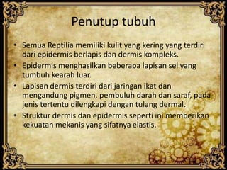 Penutup tubuh
• Semua Reptilia memiliki kulit yang kering yang terdiri
dari epidermis berlapis dan dermis kompleks.
• Epidermis menghasilkan beberapa lapisan sel yang
tumbuh kearah luar.
• Lapisan dermis terdiri dari jaringan ikat dan
mengandung pigmen, pembuluh darah dan saraf, pada
jenis tertentu dilengkapi dengan tulang dermal.
• Struktur dermis dan epidermis seperti ini memberikan
kekuatan mekanis yang sifatnya elastis.
 