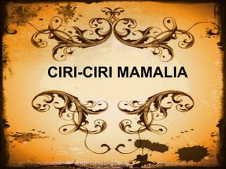CIRI-CIRI MAMALIA
 