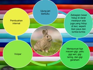 Ujung jari
berbuku
.Sebagian besar
hidup di darat
meskipun ada
juga yang hidup
di laut, seperti
ikan paus dan
lumba-lumba
Mempunyai tiga
macam gigi, yaitu
gigi seri, gigi
taring, dan gigi
geraham
Vivipar
Pembuahan
internal
 