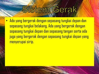 • Ada yang bergerak dengan sepasang tungkai depan dan
sepasang tungkai belakang. Ada yang bergerak dengan
sepasang tungkai depan dan sepasang tangan serta ada
juga yang bergerak dengan sepasang tungkai depan yang
menyerupai sirip.
 