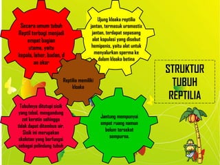 Tubuhnya ditutupi sisik
yang tebal, mengandung
zat keratin sehingga
tidak dapat ditembus air.
Sisik ini merupakan
skeleton yang berfungsi
sebagai pelindung tubuh
Jantung mempunyai
empat ruang namun
belum tersekat
sempurna.
Ujung kloaka reptilia
jantan, termasuk uromastix
jantan, terdapat sepasang
alat kopulasi yang disebut
hemipenis, yaitu alat untuk
menyalurkan sperma ke
dalam kloaka betina
Secara umum tubuh
Reptil terbagi menjadi
empat bagian
utama, yaitu
kepala, leher, badan, d
an ekor
Reptilia memiliki
kloaka
STRUKTUR
TUBUH
REPTILIA
 