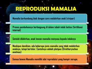 REPRODUKSI MAMALIA
Mamalia berkembang biak dengan cara melahirkan anak (vivipar)
Proses pembuhannya berlangsung di dalam tubuh induk betina (fertilisasi
internal)
Setelah dilahirkan, anak hewan mamalia menyusu kepada induknya
Meskipun demikian, ada beberapa jenis mamalia yang tidak melahirkan
anaknya, tetapi bertelur. Contohnya adalah platipus (Ornithorynchus
anatinus)
Semua hewan Mamalia memiliki alat reproduksi yang hampir serupa.
 