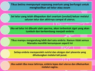 Tikus betina mempunyai sepasang ovarium yang berfungsi untuk
menghasilkan sel telur atau ovum
Sel telur yang telah dilepaskan dari ovarium (ovulasi) keluar melalui
saluran telur dan akhirnya sampai di uterus.
Jika sel telur ini dibuahi oleh sperma, akan terbentuk zigot yang akan
tumbuh dan berkembang menjadi embrio
Tikus mampu mengandung lebih dari satu embrio. Namun tidak semua
Mamalia memiliki kemampuan seperti ini
Setiap embrio memperoleh nutrisi dan oksigen dari plasenta yang
dihubungkan melalui tali pusat.
Jika sudah tiba masa lahirnya, embrio lepas dari uterus dan dikeluarkan
melalui vagina.
 