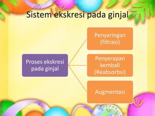 Sistem ekskresi pada ginjal
Proses ekskresi
pada ginjal
Penyaringan
(filtrasi)
Penyerapan
kembali
(Reabsorbsi)
Augmentasi
 