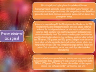 Proses ekskresi
pada ginjal
Filtrasi terjadi pada kapiler glomerulus pada kapsul Bowman.
Hasil penyaringan di glomerulus berupa filtrat glomerulus (urin primer) yang
komposisinya serupa dengan darah tetapi tidak mengandung protein. Pada filtrat
glomerulus masih dapat ditemukan asam amino, glukosa, natrium, kalium, dan
garamgaram lainnya.
Volume urin manusia hanya 1% dari filtrat glomerulus. Oleh karena itu, 99%
filtrat glomerulus akan direabsorbsi secara aktif pada tubulus kontortus
proksimal dan terjadi penambahan zat-zat sisa serta urea pada tubulus
kontortus distal. Substansi yang masih berguna seperti glukosa dan asam
amino dikembalikan ke darah. Sisa sampah kelebihan garam, dan bahan lain
pada filtrat dikeluarkan dalam urin. Tiap hari tabung ginjal mereabsorbsi lebih
dari 178 liter air, 1200 g garam, dan 150 g glukosa. Sebagian besar dari zat-zat
ini direabsorbsi beberapa kali.Setelah terjadi reabsorbsi maka tubulus akan
menghasilkan urin seku Zder yang komposisinya sangat berbeda dengan urin
primer. Pada urin sekunder, zat-zat yang masih diperlukan tidak akan
ditemukan lagi.
Augmentasi adalah proses penambahan zat sisa dan urea yang mulai terjadi di
tubulus kontortus distal. Komposisi urin yang dikeluarkan lewat ureter adalah
96% air, 1,5% garam, 2,5% urea, dan sisa substansi lain, misalnya pigmen
empedu yang berfungsi memberi warm dan bau pada urin.
 