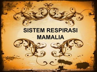 SISTEM RESPIRASI
MAMALIA
 