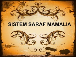 SISTEM SARAF MAMALIA
 