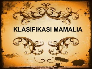 KLASIFIKASI MAMALIA
 