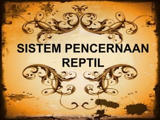 SISTEM PENCERNAAN
REPTIL
 