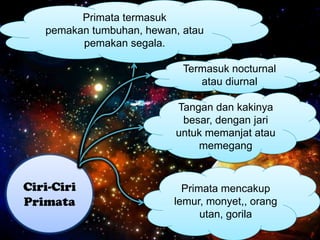 Ciri-Ciri
Primata
Primata termasuk
pemakan tumbuhan, hewan, atau
pemakan segala.
Termasuk nocturnal
atau diurnal
Tangan dan kakinya
besar, dengan jari
untuk memanjat atau
memegang
Primata mencakup
lemur, monyet,, orang
utan, gorila
 