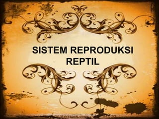 SISTEM REPRODUKSI
REPTIL
 