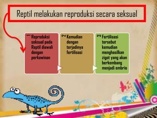 Reptil melakukan reproduksi secara seksual
1
Reproduksi
seksual pada
Reptil diawali
dengan
perkawinan
2
Kemudian
dengan
terjadinya
fertilisasi
3
Fertilisasi
tersebut
kemudian
menghasilkan
zigot yang akan
berkembang
menjadi embrio
 
