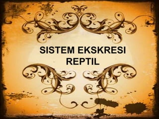 SISTEM EKSKRESI
REPTIL
 