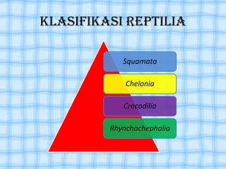 Klasifikasi Reptilia
Squamata
Chelonia
Crocodilia
Rhynchochephalia
 