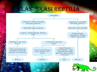 KLASIFIKASI REPTILIA
 