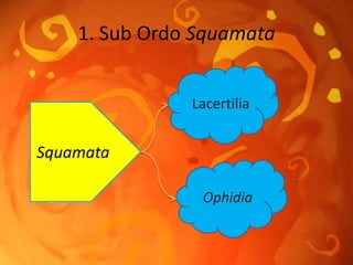 1. Sub Ordo Squamata
Lacertilia
Ophidia
Squamata
 