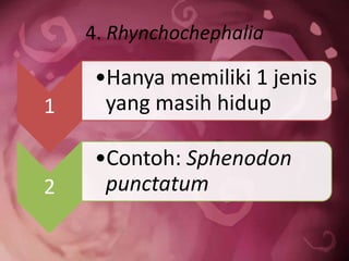 4. Rhynchochephalia
1
•Hanya memiliki 1 jenis
yang masih hidup
2
•Contoh: Sphenodon
punctatum
 