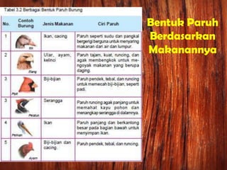 Bentuk Paruh
Berdasarkan
Makanannya
 