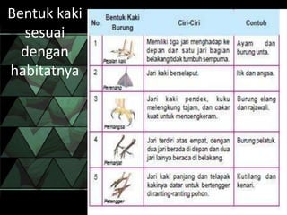 Bentuk kaki
sesuai
dengan
habitatnya
 