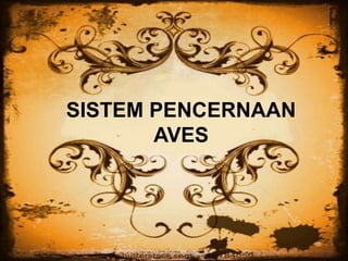 SISTEM PENCERNAAN
AVES
 