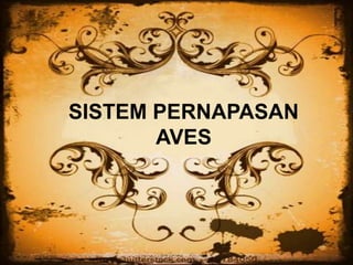 SISTEM PERNAPASAN
AVES
 