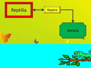Reptilia Repere
Melata
 