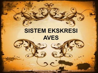 SISTEM EKSKRESI
AVES
 