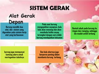 SISTEM GERAK
Burung memiliki dua
otot, dan sistem yang
digunakan yaitu sistem kerja
otot yang berlawanan
Pada saat burung
mengepakkan sayapnya, bulu
bulu akan menutup dan akan
membuka ketika sayap
terangkat dengan cara inilah
burung mendapatkan kekuatan
Bentuk tubuh pada burung itu
ringan dan ramping, sehingga
dia mudah untUk terbang
burung juga mempunyai
kantung udara untuk
meringankan tubuhnya
Dan bulu ekornya juga
berperan penting dalam
membantu burung terbang.
Alat Gerak
Depan
 