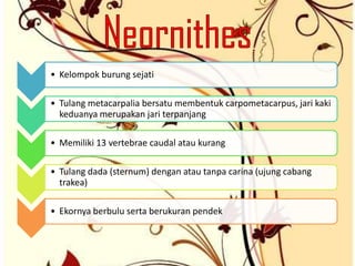 • Kelompok burung sejati
• Tulang metacarpalia bersatu membentuk carpometacarpus, jari kaki
keduanya merupakan jari terpanjang
• Memiliki 13 vertebrae caudal atau kurang
• Tulang dada (sternum) dengan atau tanpa carina (ujung cabang
trakea)
• Ekornya berbulu serta berukuran pendek
 