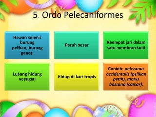 5. Ordo Pelecaniformes
Hewan sejenis
burung
pelikan, burung
ganet.
Paruh besar
Keempat jari dalam
satu membran kulit
Lubang hidung
vestigial
Hidup di laut tropis
Contoh: pelecanus
occidentalis (pelikan
putih), morus
bassana (camar).
 