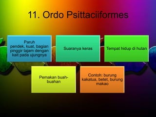 11. Ordo Psittaciiformes
Paruh
pendek, kuat, bagian
pinggir tajam dengan
kait pada ujungnya
Suaranya keras Tempat hidup di hutan
Pemakan buah-
buahan
Contoh: burung
kakatua, betet, burung
makao
 