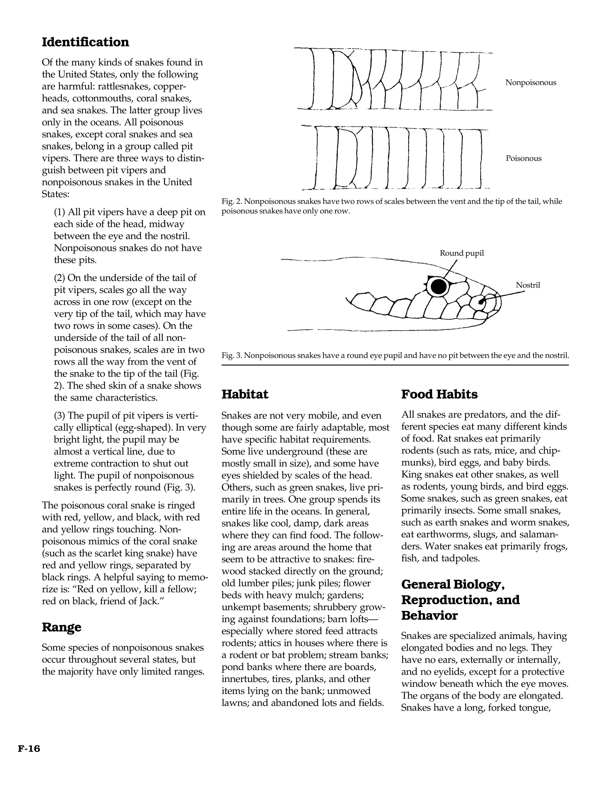 Identification
       Of the many kinds of snakes found in
       the United States, only the following
                                                                                                                                    Nonpoisonous
       are harmful: rattlesnakes, copper-
       heads, cottonmouths, coral snakes,
       and sea snakes. The latter group lives
       only in the oceans. All poisonous
       snakes, except coral snakes and sea
       snakes, belong in a group called pit
       vipers. There are three ways to distin-                                                                                      Poisonous
       guish between pit vipers and
       nonpoisonous snakes in the United
       States:
                                                  Fig. 2. Nonpoisonous snakes have two rows of scales between the vent and the tip of the tail, while
         (1) All pit vipers have a deep pit on    poisonous snakes have only one row.
         each side of the head, midway
         between the eye and the nostril.
         Nonpoisonous snakes do not have                                                                         Round pupil
         these pits.
         (2) On the underside of the tail of
                                                                                                                                       Nostril
         pit vipers, scales go all the way
         across in one row (except on the
         very tip of the tail, which may have
         two rows in some cases). On the
         underside of the tail of all non-
         poisonous snakes, scales are in two
                                                  Fig. 3. Nonpoisonous snakes have a round eye pupil and have no pit between the eye and the nostril.
         rows all the way from the vent of
         the snake to the tip of the tail (Fig.
         2). The shed skin of a snake shows
         the same characteristics.                Habitat                                             Food Habits
         (3) The pupil of pit vipers is verti-    Snakes are not very mobile, and even                All snakes are predators, and the dif-
         cally elliptical (egg-shaped). In very   though some are fairly adaptable, most              ferent species eat many different kinds
         bright light, the pupil may be           have specific habitat requirements.                 of food. Rat snakes eat primarily
         almost a vertical line, due to           Some live underground (these are                    rodents (such as rats, mice, and chip-
         extreme contraction to shut out          mostly small in size), and some have                munks), bird eggs, and baby birds.
         light. The pupil of nonpoisonous         eyes shielded by scales of the head.                King snakes eat other snakes, as well
         snakes is perfectly round (Fig. 3).      Others, such as green snakes, live pri-             as rodents, young birds, and bird eggs.
                                                  marily in trees. One group spends its               Some snakes, such as green snakes, eat
       The poisonous coral snake is ringed
                                                  entire life in the oceans. In general,              primarily insects. Some small snakes,
       with red, yellow, and black, with red
                                                  snakes like cool, damp, dark areas                  such as earth snakes and worm snakes,
       and yellow rings touching. Non-
                                                  where they can find food. The follow-               eat earthworms, slugs, and salaman-
       poisonous mimics of the coral snake
                                                  ing are areas around the home that                  ders. Water snakes eat primarily frogs,
       (such as the scarlet king snake) have
                                                  seem to be attractive to snakes: fire-              fish, and tadpoles.
       red and yellow rings, separated by
                                                  wood stacked directly on the ground;
       black rings. A helpful saying to memo-
                                                  old lumber piles; junk piles; flower                General Biology,
       rize is: “Red on yellow, kill a fellow;
                                                  beds with heavy mulch; gardens;
       red on black, friend of Jack.”
                                                  unkempt basements; shrubbery grow-
                                                                                                      Reproduction, and
                                                  ing against foundations; barn lofts—                Behavior
       Range                                      especially where stored feed attracts               Snakes are specialized animals, having
       Some species of nonpoisonous snakes        rodents; attics in houses where there is            elongated bodies and no legs. They
       occur throughout several states, but       a rodent or bat problem; stream banks;              have no ears, externally or internally,
       the majority have only limited ranges.     pond banks where there are boards,                  and no eyelids, except for a protective
                                                  innertubes, tires, planks, and other                window beneath which the eye moves.
                                                  items lying on the bank; unmowed                    The organs of the body are elongated.
                                                  lawns; and abandoned lots and fields.               Snakes have a long, forked tongue,



F-16
 