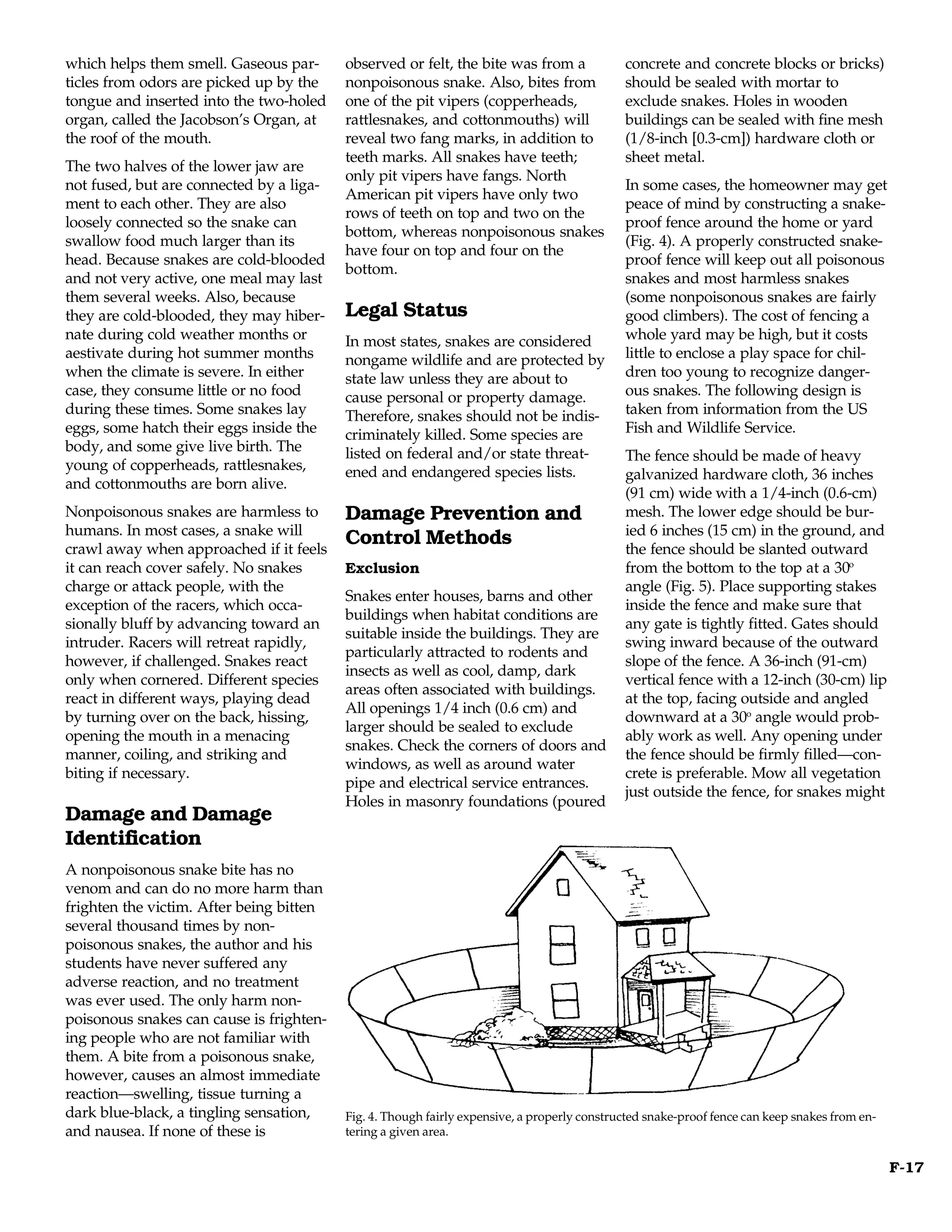 which helps them smell. Gaseous par-      observed or felt, the bite was from a              concrete and concrete blocks or bricks)
ticles from odors are picked up by the    nonpoisonous snake. Also, bites from               should be sealed with mortar to
tongue and inserted into the two-holed    one of the pit vipers (copperheads,                exclude snakes. Holes in wooden
organ, called the Jacobson’s Organ, at    rattlesnakes, and cottonmouths) will               buildings can be sealed with fine mesh
the roof of the mouth.                    reveal two fang marks, in addition to              (1/8-inch [0.3-cm]) hardware cloth or
                                          teeth marks. All snakes have teeth;                sheet metal.
The two halves of the lower jaw are
                                          only pit vipers have fangs. North
not fused, but are connected by a liga-                                                      In some cases, the homeowner may get
                                          American pit vipers have only two
ment to each other. They are also                                                            peace of mind by constructing a snake-
                                          rows of teeth on top and two on the
loosely connected so the snake can                                                           proof fence around the home or yard
                                          bottom, whereas nonpoisonous snakes
swallow food much larger than its                                                            (Fig. 4). A properly constructed snake-
                                          have four on top and four on the
head. Because snakes are cold-blooded                                                        proof fence will keep out all poisonous
                                          bottom.
and not very active, one meal may last                                                       snakes and most harmless snakes
them several weeks. Also, because                                                            (some nonpoisonous snakes are fairly
they are cold-blooded, they may hiber-    Legal Status                                       good climbers). The cost of fencing a
nate during cold weather months or        In most states, snakes are considered              whole yard may be high, but it costs
aestivate during hot summer months        nongame wildlife and are protected by              little to enclose a play space for chil-
when the climate is severe. In either     state law unless they are about to                 dren too young to recognize danger-
case, they consume little or no food      cause personal or property damage.                 ous snakes. The following design is
during these times. Some snakes lay       Therefore, snakes should not be indis-             taken from information from the US
eggs, some hatch their eggs inside the    criminately killed. Some species are               Fish and Wildlife Service.
body, and some give live birth. The       listed on federal and/or state threat-             The fence should be made of heavy
young of copperheads, rattlesnakes,       ened and endangered species lists.                 galvanized hardware cloth, 36 inches
and cottonmouths are born alive.
                                                                                             (91 cm) wide with a 1/4-inch (0.6-cm)
Nonpoisonous snakes are harmless to       Damage Prevention and                              mesh. The lower edge should be bur-
humans. In most cases, a snake will                                                          ied 6 inches (15 cm) in the ground, and
crawl away when approached if it feels
                                          Control Methods                                    the fence should be slanted outward
it can reach cover safely. No snakes      Exclusion                                          from the bottom to the top at a 30o
charge or attack people, with the                                                            angle (Fig. 5). Place supporting stakes
                                          Snakes enter houses, barns and other
exception of the racers, which occa-                                                         inside the fence and make sure that
                                          buildings when habitat conditions are
sionally bluff by advancing toward an                                                        any gate is tightly fitted. Gates should
                                          suitable inside the buildings. They are
intruder. Racers will retreat rapidly,                                                       swing inward because of the outward
                                          particularly attracted to rodents and
however, if challenged. Snakes react                                                         slope of the fence. A 36-inch (91-cm)
                                          insects as well as cool, damp, dark
only when cornered. Different species                                                        vertical fence with a 12-inch (30-cm) lip
                                          areas often associated with buildings.
react in different ways, playing dead                                                        at the top, facing outside and angled
                                          All openings 1/4 inch (0.6 cm) and
by turning over on the back, hissing,                                                        downward at a 30o angle would prob-
                                          larger should be sealed to exclude
opening the mouth in a menacing                                                              ably work as well. Any opening under
                                          snakes. Check the corners of doors and
manner, coiling, and striking and                                                            the fence should be firmly filled—con-
                                          windows, as well as around water
biting if necessary.                                                                         crete is preferable. Mow all vegetation
                                          pipe and electrical service entrances.
                                                                                             just outside the fence, for snakes might
                                          Holes in masonry foundations (poured
Damage and Damage
Identification
A nonpoisonous snake bite has no
venom and can do no more harm than
frighten the victim. After being bitten
several thousand times by non-
poisonous snakes, the author and his
students have never suffered any
adverse reaction, and no treatment
was ever used. The only harm non-
poisonous snakes can cause is frighten-
ing people who are not familiar with
them. A bite from a poisonous snake,
however, causes an almost immediate
reaction—swelling, tissue turning a
dark blue-black, a tingling sensation,    Fig. 4. Though fairly expensive, a properly constructed snake-proof fence can keep snakes from en-
and nausea. If none of these is           tering a given area.

                                                                                                                                               F-17
 