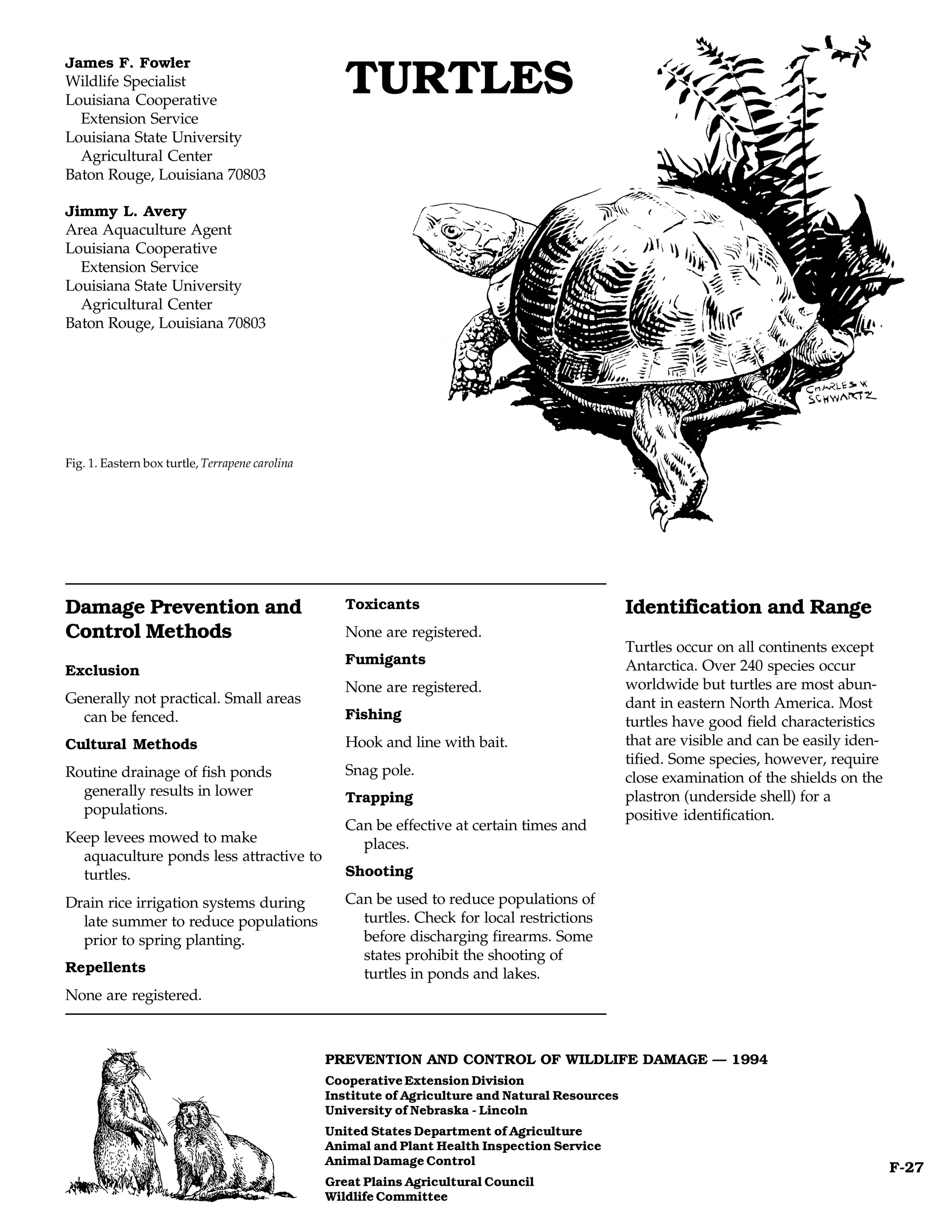 James F. Fowler
Wildlife Specialist
Louisiana Cooperative
                                                    TURTLES
  Extension Service
Louisiana State University
  Agricultural Center
Baton Rouge, Louisiana 70803

Jimmy L. Avery
Area Aquaculture Agent
Louisiana Cooperative
  Extension Service
Louisiana State University
  Agricultural Center
Baton Rouge, Louisiana 70803




Fig. 1. Eastern box turtle, Terrapene carolina




Damage Prevention and                               Toxicants                                     Identification and Range
Control Methods                                     None are registered.
                                                                                                  Turtles occur on all continents except
                                                    Fumigants                                     Antarctica. Over 240 species occur
Exclusion
                                                    None are registered.                          worldwide but turtles are most abun-
Generally not practical. Small areas                                                              dant in eastern North America. Most
  can be fenced.                                    Fishing                                       turtles have good field characteristics
Cultural Methods                                    Hook and line with bait.                      that are visible and can be easily iden-
                                                                                                  tified. Some species, however, require
Routine drainage of fish ponds                      Snag pole.                                    close examination of the shields on the
  generally results in lower                        Trapping                                      plastron (underside shell) for a
  populations.                                                                                    positive identification.
                                                    Can be effective at certain times and
Keep levees mowed to make                             places.
  aquaculture ponds less attractive to
  turtles.                                          Shooting

Drain rice irrigation systems during                Can be used to reduce populations of
  late summer to reduce populations                   turtles. Check for local restrictions
  prior to spring planting.                           before discharging firearms. Some
                                                      states prohibit the shooting of
Repellents                                            turtles in ponds and lakes.
None are registered.



                                                 PREVENTION AND CONTROL OF WILDLIFE DAMAGE — 1994
                                                 Cooperative Extension Division
                                                 Institute of Agriculture and Natural Resources
                                                 University of Nebraska - Lincoln
                                                 United States Department of Agriculture
                                                 Animal and Plant Health Inspection Service
                                                 Animal Damage Control
                                                                                                                                             F-27
                                                 Great Plains Agricultural Council
                                                 Wildlife Committee
 