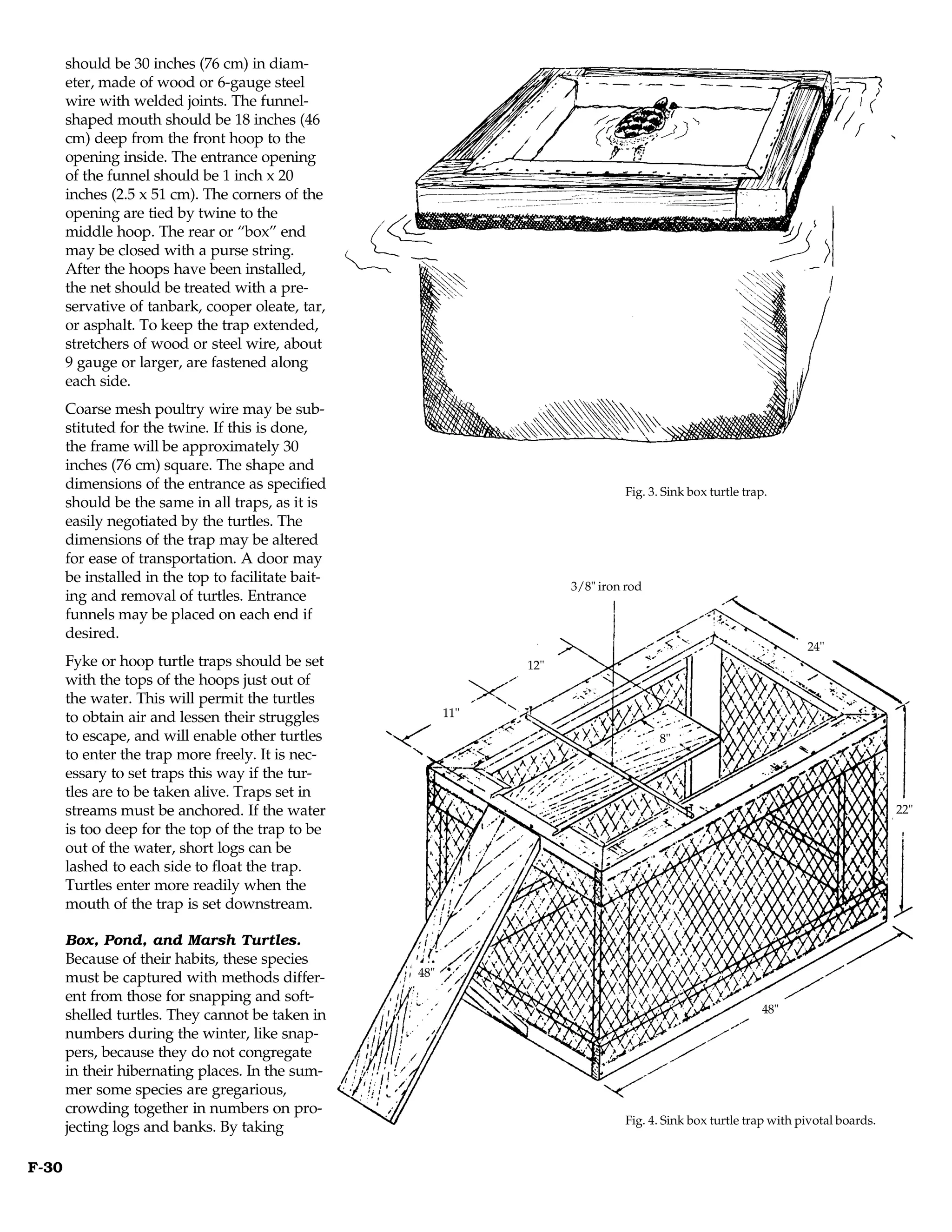 should be 30 inches (76 cm) in diam-
       eter, made of wood or 6-gauge steel
       wire with welded joints. The funnel-
       shaped mouth should be 18 inches (46
       cm) deep from the front hoop to the
       opening inside. The entrance opening
       of the funnel should be 1 inch x 20
       inches (2.5 x 51 cm). The corners of the
       opening are tied by twine to the
       middle hoop. The rear or “box” end
       may be closed with a purse string.
       After the hoops have been installed,
       the net should be treated with a pre-
       servative of tanbark, cooper oleate, tar,
       or asphalt. To keep the trap extended,
       stretchers of wood or steel wire, about
       9 gauge or larger, are fastened along
       each side.
       Coarse mesh poultry wire may be sub-
       stituted for the twine. If this is done,
       the frame will be approximately 30
       inches (76 cm) square. The shape and
       dimensions of the entrance as specified                                  Fig. 3. Sink box turtle trap.
       should be the same in all traps, as it is
       easily negotiated by the turtles. The
       dimensions of the trap may be altered
       for ease of transportation. A door may
       be installed in the top to facilitate bait-
                                                                       3/8" iron rod
       ing and removal of turtles. Entrance
       funnels may be placed on each end if
       desired.
                                                                                                                   24"
       Fyke or hoop turtle traps should be set                   12"
       with the tops of the hoops just out of
       the water. This will permit the turtles
       to obtain air and lessen their struggles            11"
       to escape, and will enable other turtles                                        8"
       to enter the trap more freely. It is nec-
       essary to set traps this way if the tur-
       tles are to be taken alive. Traps set in
       streams must be anchored. If the water                                                                                       22"
       is too deep for the top of the trap to be
       out of the water, short logs can be
       lashed to each side to float the trap.
       Turtles enter more readily when the
       mouth of the trap is set downstream.

       Box, Pond, and Marsh Turtles.
       Because of their habits, these species
       must be captured with methods differ-         48"
       ent from those for snapping and soft-
                                                                                                           48"
       shelled turtles. They cannot be taken in
       numbers during the winter, like snap-
       pers, because they do not congregate
       in their hibernating places. In the sum-
       mer some species are gregarious,
       crowding together in numbers on pro-
                                                                                Fig. 4. Sink box turtle trap with pivotal boards.
       jecting logs and banks. By taking

F-30
 