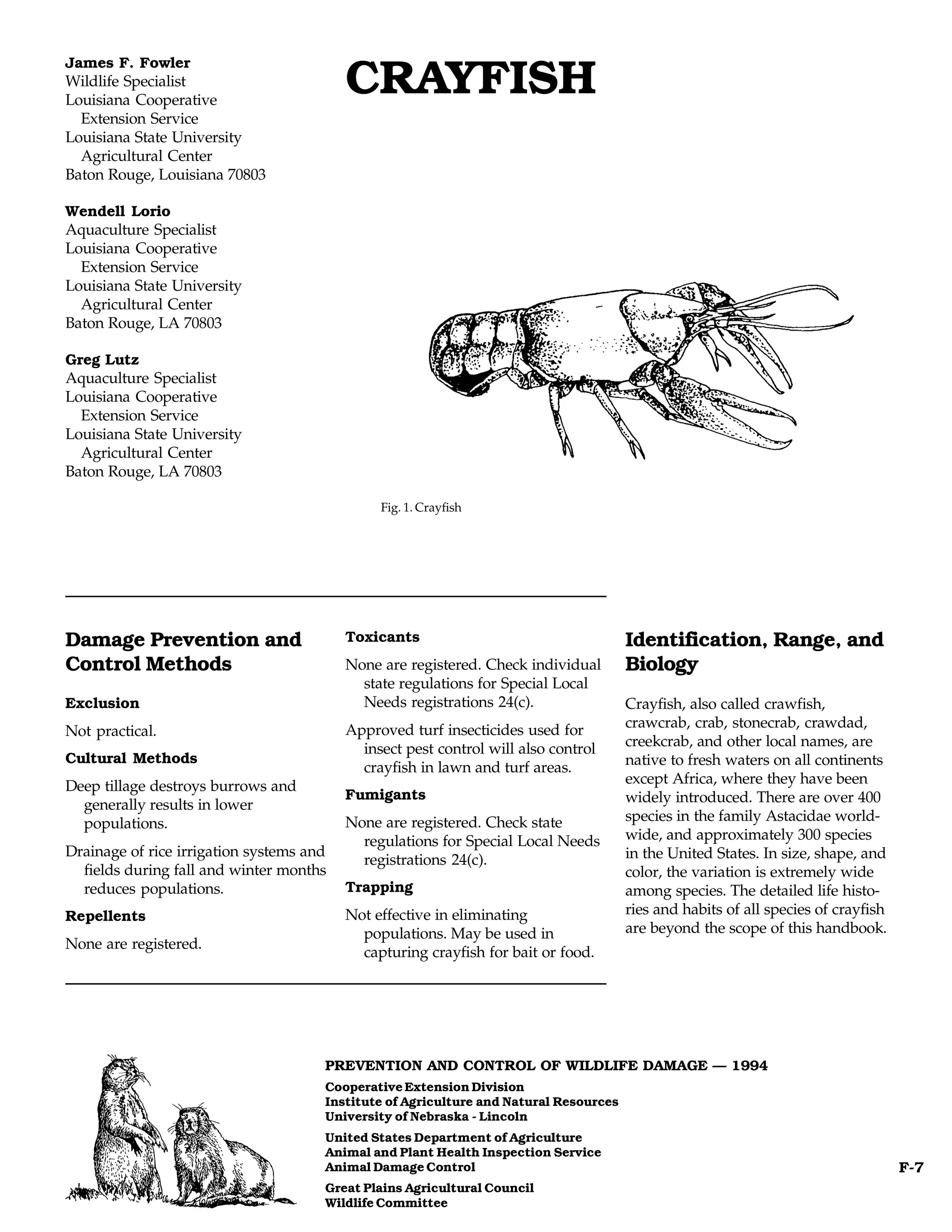 James F. Fowler
Wildlife Specialist
Louisiana Cooperative
                                          CRAYFISH
  Extension Service
Louisiana State University
  Agricultural Center
Baton Rouge, Louisiana 70803

Wendell Lorio
Aquaculture Specialist
Louisiana Cooperative
  Extension Service
Louisiana State University
  Agricultural Center
Baton Rouge, LA 70803

Greg Lutz
Aquaculture Specialist
Louisiana Cooperative
  Extension Service
Louisiana State University
  Agricultural Center
Baton Rouge, LA 70803

                                               Fig. 1. Crayfish




Damage Prevention and                     Toxicants                                    Identification, Range, and
Control Methods                           None are registered. Check individual        Biology
                                            state regulations for Special Local
Exclusion                                   Needs registrations 24(c).                 Crayfish, also called crawfish,
                                          Approved turf insecticides used for          crawcrab, crab, stonecrab, crawdad,
Not practical.
                                            insect pest control will also control      creekcrab, and other local names, are
Cultural Methods                                                                       native to fresh waters on all continents
                                            crayfish in lawn and turf areas.
Deep tillage destroys burrows and                                                      except Africa, where they have been
                                          Fumigants                                    widely introduced. There are over 400
  generally results in lower
  populations.                            None are registered. Check state             species in the family Astacidae world-
                                            regulations for Special Local Needs        wide, and approximately 300 species
Drainage of rice irrigation systems and                                                in the United States. In size, shape, and
                                            registrations 24(c).
  fields during fall and winter months                                                 color, the variation is extremely wide
  reduces populations.                    Trapping                                     among species. The detailed life histo-
Repellents                                Not effective in eliminating                 ries and habits of all species of crayfish
                                            populations. May be used in                are beyond the scope of this handbook.
None are registered.
                                            capturing crayfish for bait or food.




                                      PREVENTION AND CONTROL OF WILDLIFE DAMAGE — 1994
                                      Cooperative Extension Division
                                      Institute of Agriculture and Natural Resources
                                      University of Nebraska - Lincoln
                                      United States Department of Agriculture
                                      Animal and Plant Health Inspection Service
                                      Animal Damage Control                                                                         F-7
                                      Great Plains Agricultural Council
                                      Wildlife Committee
 