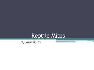 Reptile Mites
By RodentPro

 