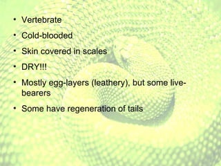 Vertebrate Cold-blooded Skin covered in scales DRY!!! Mostly egg-layers (leathery), but some live-bearers Some have regeneration of tails 