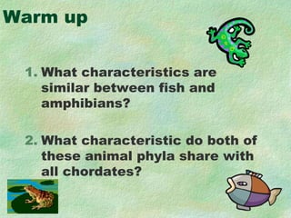 Warm up,[object Object],What characteristics are similar between fish and amphibians?,[object Object],What characteristic do both of these animal phyla share with all chordates?,[object Object]