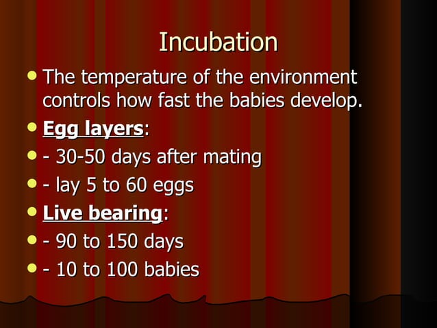 Reptile reproduction and diseases | PPT - Reptile Incubation And Female Care Routine