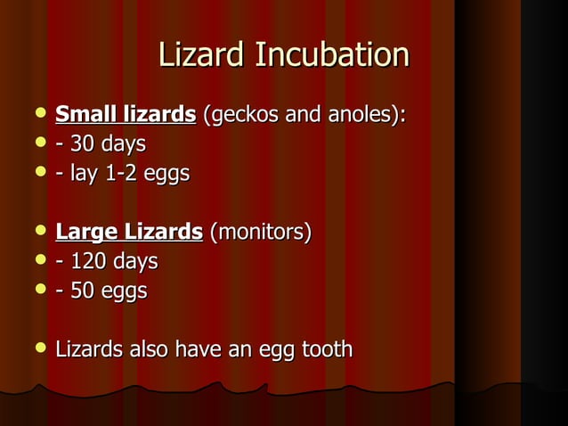 View of Reptile reproduction and diseases | PPT