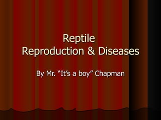 Reptile
Reproduction & Diseases
  By Mr. “It’s a boy” Chapman
 