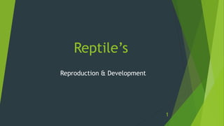Reptile’s
Reproduction & Development
1
 